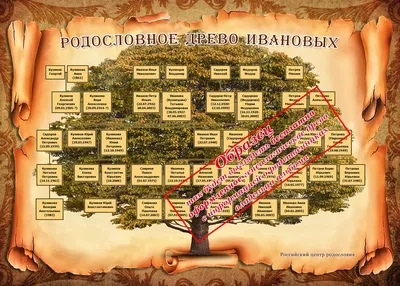 Генеалогическое древо Семьи в интернет-магазине на Ярмарке Мастеров |  Картины, Майкоп - доставка по России. Товар продан.