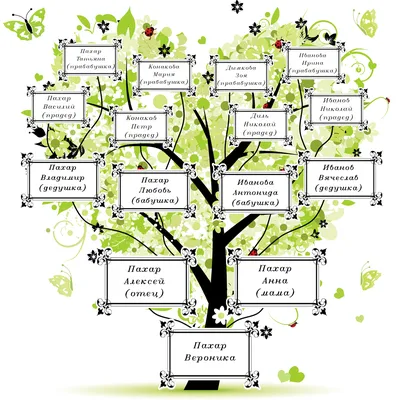 Фамильное древо: как узнать и сделать фамильное древо семьи, где заказать,  виды фимильных деревьев