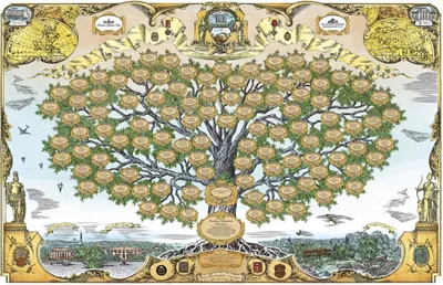 Как правильно составить генеалогическое древо семьи? | Свадебное платье |  Дзен