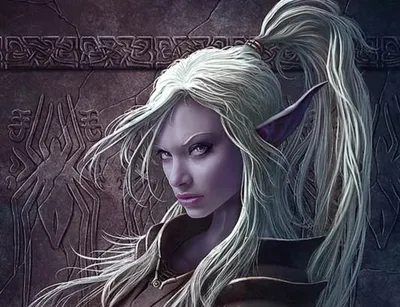 Drow Elves — Shard Tabletop