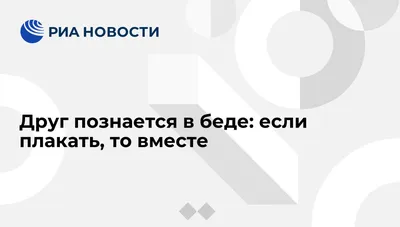 Эскадрон мыслей... — МИМО ЖИЗНИ (Aлексей Петровский) — NewsLand