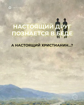 Друг познается в беде | Пикабу