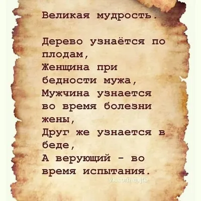 Коллекция школьных сочинений по литературе: Сочинение-рассуждение на тему: Друг  познается в беде