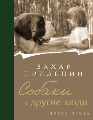 Почему одни страны богатые, а другие бедные Дарон Аджемоглу, Джеймс  Робинсон - купить книгу Почему одни страны богатые, а другие бедные в  Минске — Издательство АСТ на 