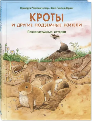 Мукбанг: почему нам нравится смотреть, как едят другие люди? — читать на  