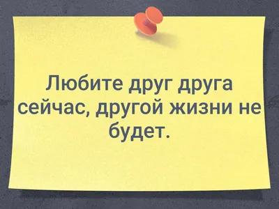 Носки с надписью "Другой жизни не будет" купить по цене 250 ₽ в  интернет-магазине KazanExpress