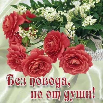 Уже завтра, да да завтра, 14 февраля♥️ День всех влюблённых♥️ Говорите друг  другу «люблю» не только 14 февраля, но и просто так♥️ Сделать… | Instagram