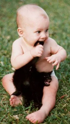Дружба животных, маленкая кошка …» — создано в Шедевруме
