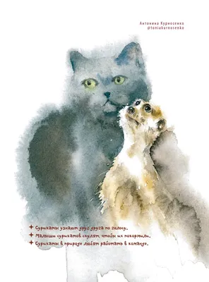 Волк зайцу не товарищ? 15 примеров необычной дружбы между животными - фото  - , Sputnik Казахстан