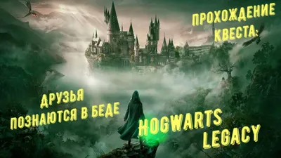 Друзья познаются в беде - прохождение квеста Hogwarts Legacy - YouTube