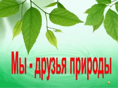 Персональный сайт - ЭКОЛЯТА - друзья и защитники природы