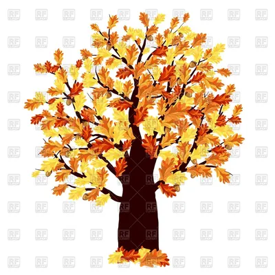 Дерево дуб» раскраска для детей - мальчиков и девочек | Скачать,  распечатать бесплатно в формате A4