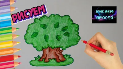 как нарисовать дуб - Ravlyk