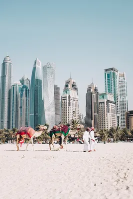 Дубай — мировая столица luxury: инструкция по применению | Журнал Robb  Report