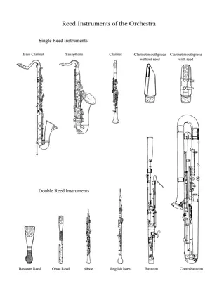 Музыкальные духовые инструменты Trumpet Kids ABS Металлическая золотая  труба - купить с доставкой по выгодным ценам в интернет-магазине OZON  (1296308115)