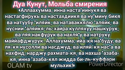 Пин от пользователя Сурьяни Магомадова на доске Дуа для всех и  хадисы.сунны.м. | Мусульманские цитаты, Мудрые цитаты, Цитаты