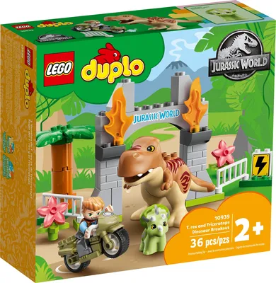 Duplo White 10er Pack – buy online now! Ferrero – German Chocolate - , $  5,87