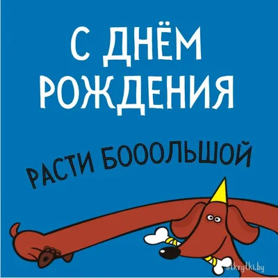 Поздравления с днем рождения с юмором для открыток, СМС и личных пожеланий