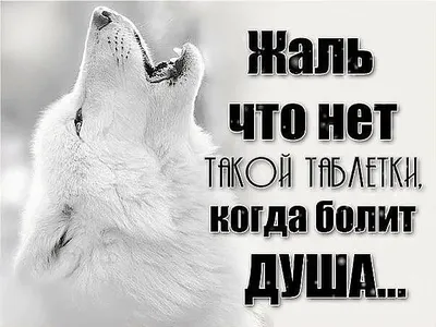 Жаль, что нет такой таблетки, когда болит душа... Выпил и отпустило... |  Правдивые цитаты, Мудрые цитаты, Цитаты