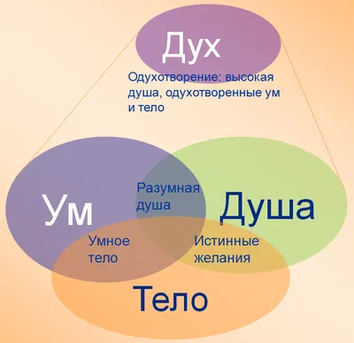 Стихотворение «Душа и тело», поэт Андрей Николаев