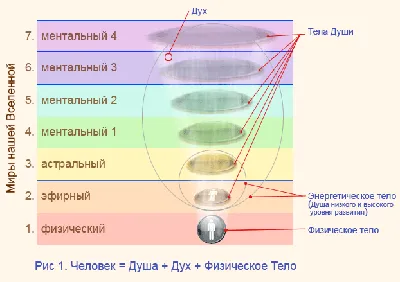 Через сколько часов после смерти душа покидает тело - 