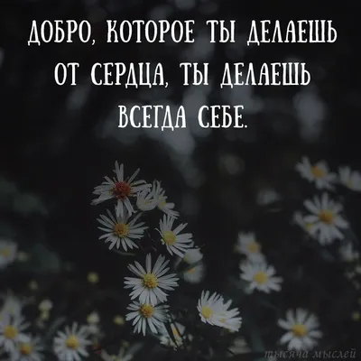 Много доброго можно сделать, если у тебя хорошее настроение: душевные цитаты  Никулина. | Новый очаг | Дзен