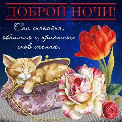 Доброй ночи! | sFoty Светлана Пюро-Дятловская | Дзен