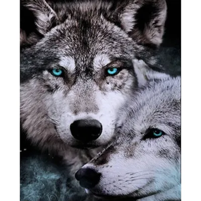 Два волка | DeskArt