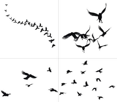 Две летящих птицы эскиз картинки
