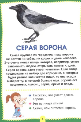 Настенный светильник Балтийский светлячок "2 птицы", холодный свет SN-10002  - выгодная цена, отзывы, характеристики, фото - купить в Москве и РФ