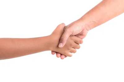 Две руки держатся вместе. помощь или поддержка. изолированные на белом фоне  | Премиум Фото