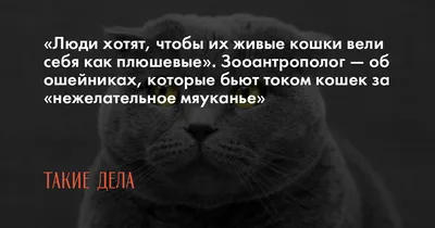 Игрушка для кошек с шариком, электронная движущаяся игрушка для кошек,  электрическая вращающаяся Интерактивная головоломка, Умная игрушка для  кошек с шариком-Йо, подъемный шар | AliExpress