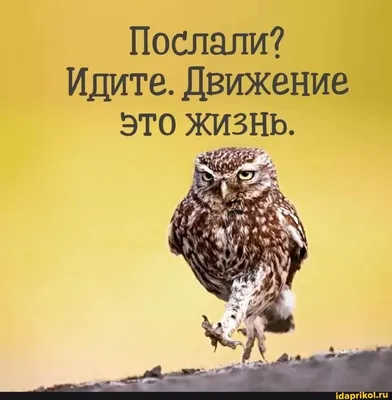 Движение – это жизнь». Консультация для родителей. | Детский сад №49 | Томск