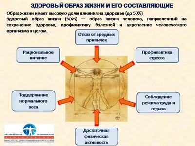 Движение – это жизнь