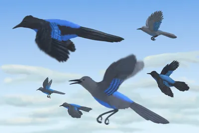 Эмуляция Летающих Ястребов Птичья Птица Для Птичьих Птиц Для Садового Двора  Дома 5391157 От 1 568 руб. | DHgate