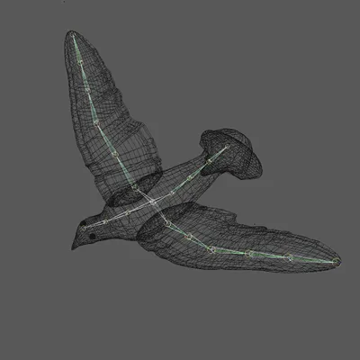 Анимированный Летающий Голубь 3D Модель $14 - .fbx .c4d .dae - Free3D