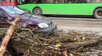 Движутся машины» — создано в Шедевруме