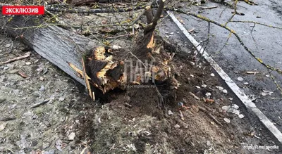 В Китае разрабатывают гиперзвуковую ракету, поражающую движущиеся машины |  Kazakhstan Today