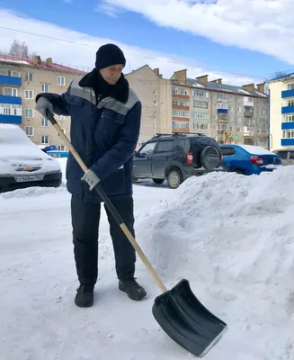 Алексей Дворник - HR Solutions