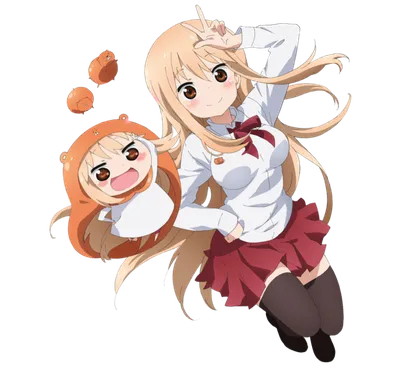 Двуличная сестрёнка Умару / Himouto! Umaru-chan [12 из 12] TV (720p) -  купить недорого