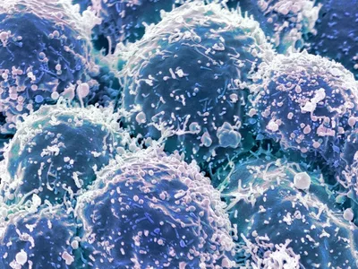 Ученый, стоящий за прививкой от коронавируса, говорит, что следующей мишенью станет рак
