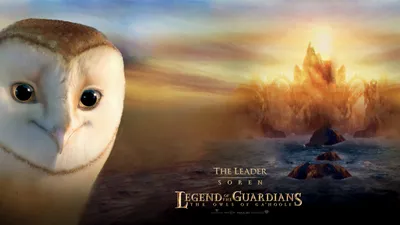 Сорен из Legend of the Guardians Обои для рабочего стола