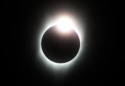 Eclipse Pictures [HD] | Download Free Images on Unsplash