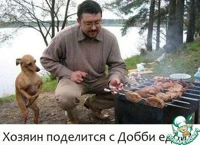 Мы и еда. Жизненные высказывания