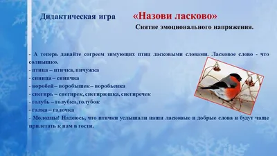 Кормление зимующих птиц - чем кормить птиц? Когда начинать? | Мир животных  🐶 | Дзен