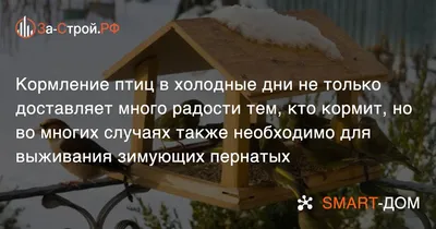 Остаются с нами зимовать: каких птиц можно увидеть и подкормить в  московских парках