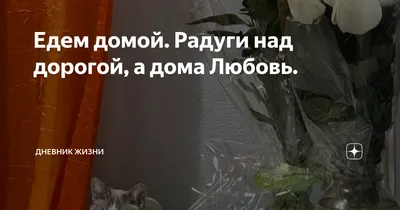 Едем домой. Радуги над дорогой, а дома Любовь. | Дневник жизни | Дзен