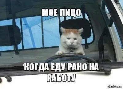 На работу иду... Работаньку мою... Работушку... Вообще бы не отдыхала!  !1... – популярные мемы на сайте id… | Юмор о работе, Рабочие приколы,  Смешные детские цитаты