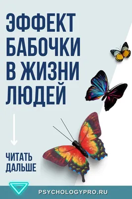 Эффект бабочки (2004) - Butterfly Effect, The - кадры из фильма -  голливудские фильмы - Кино-Театр.Ру