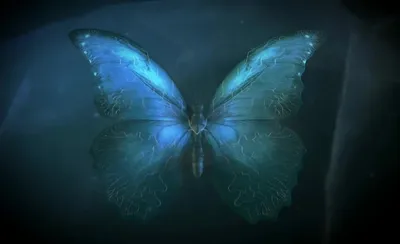Что такое эффект бабочки и можно ли им управлять | Эффект бабочки, Бабочки,  Теория хаоса